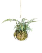 Ornamental Hanging Moss Ball with Ferns (to be bought in qtys of 6)