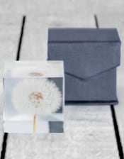 Square Acrylic Glass Real Dandelion Paperweight with Gift Box