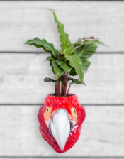 Hand Painted Ceramic Red Macaw/Parrot Head Wall Sconce Vase