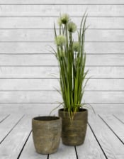 Antiqued Gold Eco S/2 Garden Planters