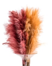 Single Brown Reed Stem (to be bought in qtys of 24)