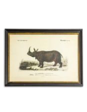 Vintage Rhino Print w/ Black & Gold Frame