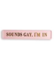 Pink & Gold "Sounds Gay I'm In" Wall Sign