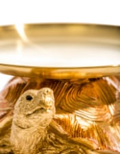 Gold & Bronze Tortoise w/ Gold Tray