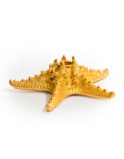 Antique Gold Starfish Candle Holder