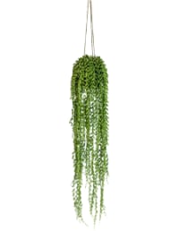 Ornamental Hanging String of Pearls Vine Arrangement (to be bought in qtys of 6)