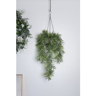 Gyasi Hanging Plant, total 84cm Height