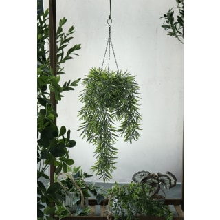 Gyasi Hanging Plant, total 84cm Height