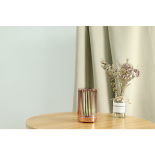 Rose Gold USB Continuum Diffuser