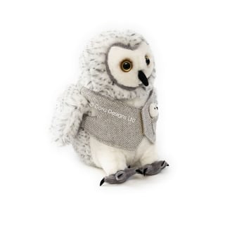 Queenie the Queen Owl by Dora Designs