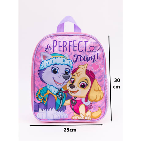 Premium Standard Backpack Skye/Everest