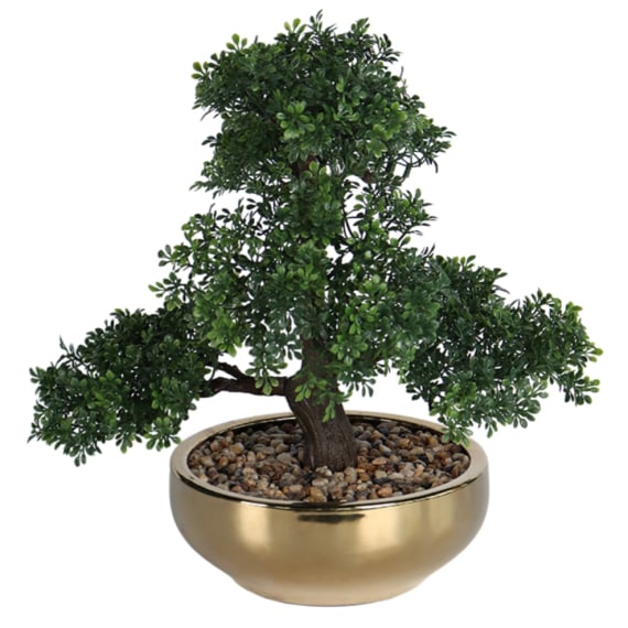 Athena Pot Plant, 38cm Height