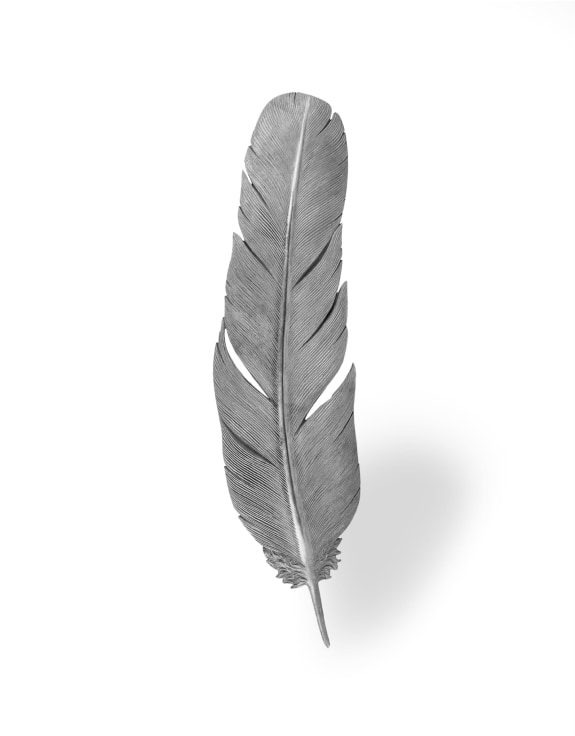 Large Silver Feather Wall Decor