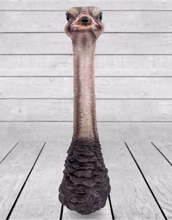 Ostrich Head Wall Figure