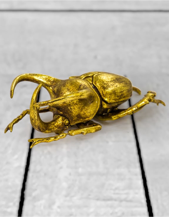 Extra Large Gold Beetle Wall Decor