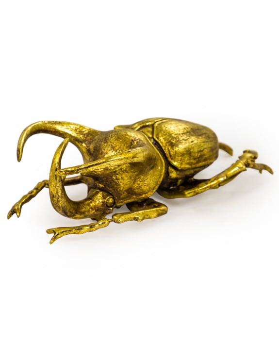 Extra Large Gold Beetle Wall Decor