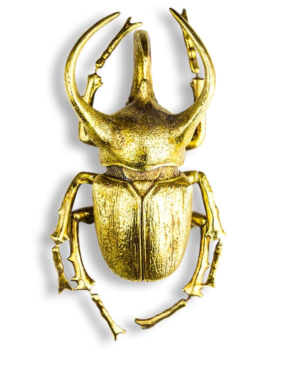 Extra Large Gold Beetle Wall Decor