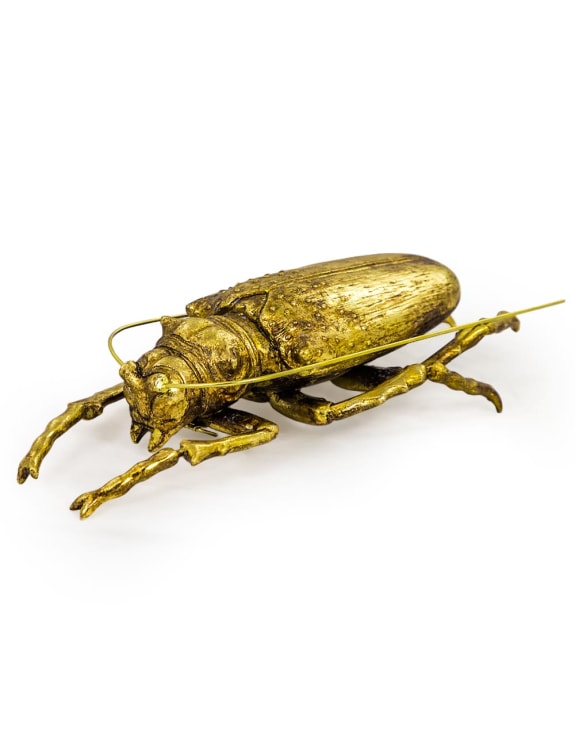 Large Gold Beetle Wall Decor (to be bought in qtys of 2)