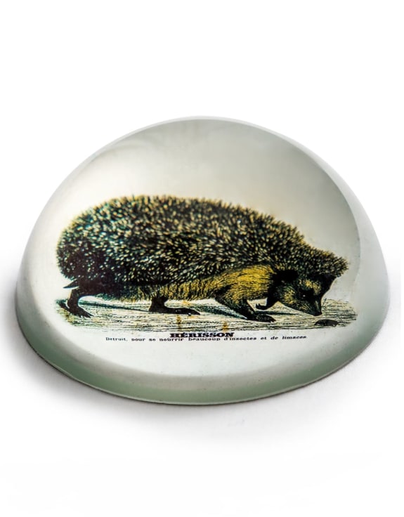 Glass Hedgehog Paperweight