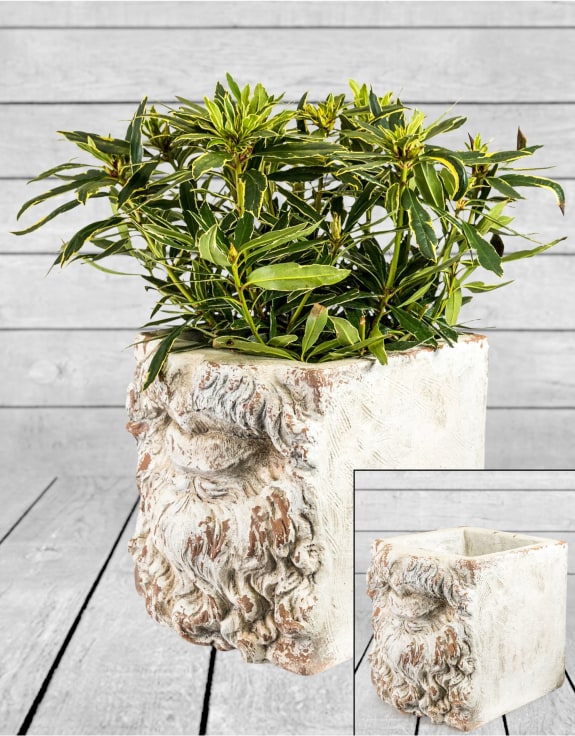 Large Rustic Stone Effect Classical Mouth Planter