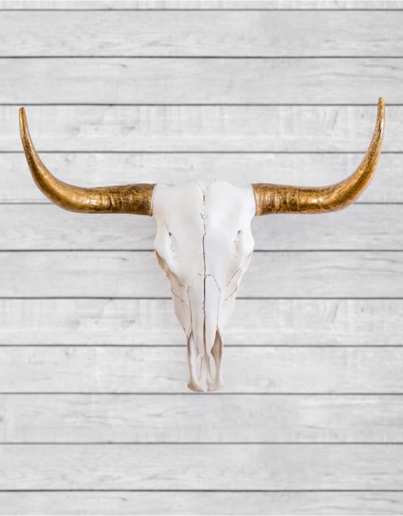 Extra Large Bison Wall Skull with Gold Horns