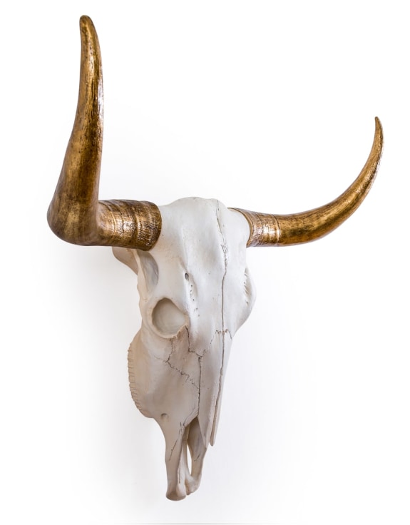 Extra Large Bison Wall Skull with Gold Horns