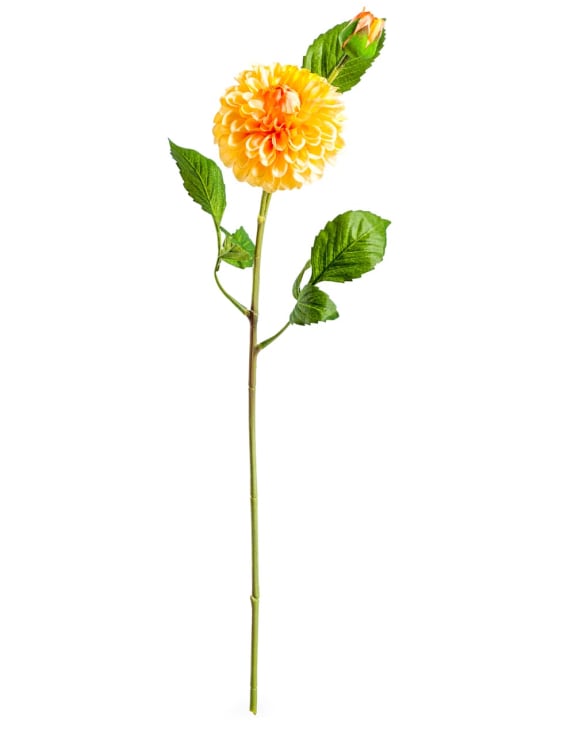 Single Gold Dahlia Stem (to be bought in qtys of 24)