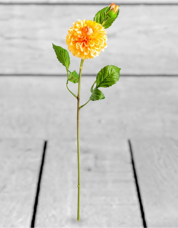 Single Gold Dahlia Stem (to be bought in qtys of 24)