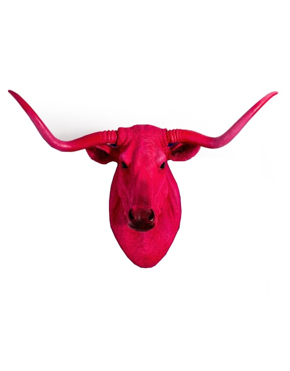 Pink Steer Wall Head