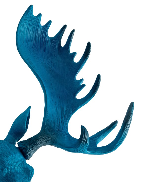 Electric Blue Moose Wall Head