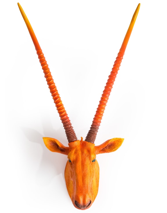 Atomic Orange Antelope Wall Head