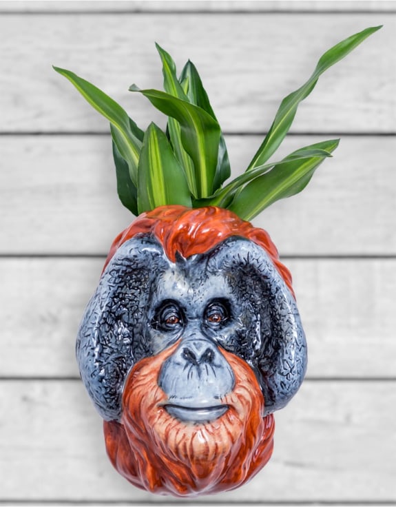 Hand Painted Ceramic Orangutan Head Wall Sconce Vase