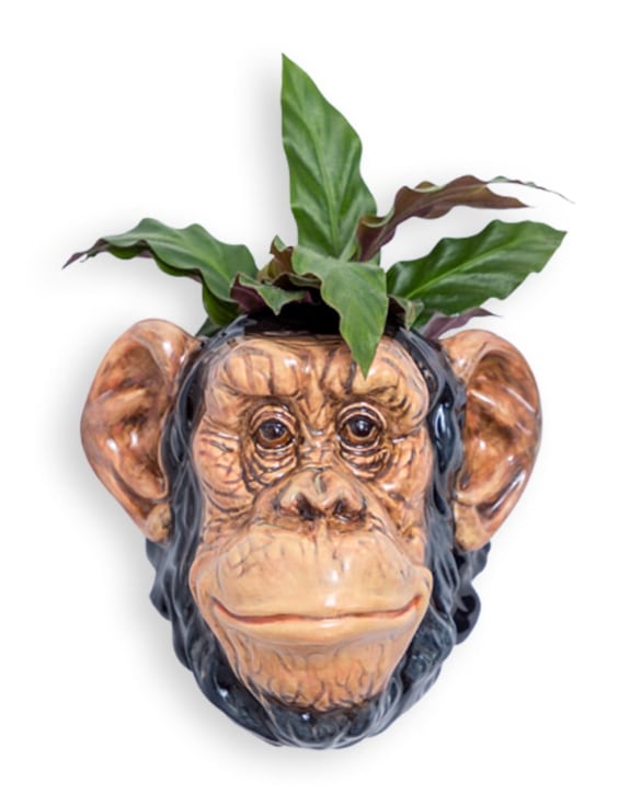 Hand Painted Ceramic Chimpanzee Head Wall Sconce Vase