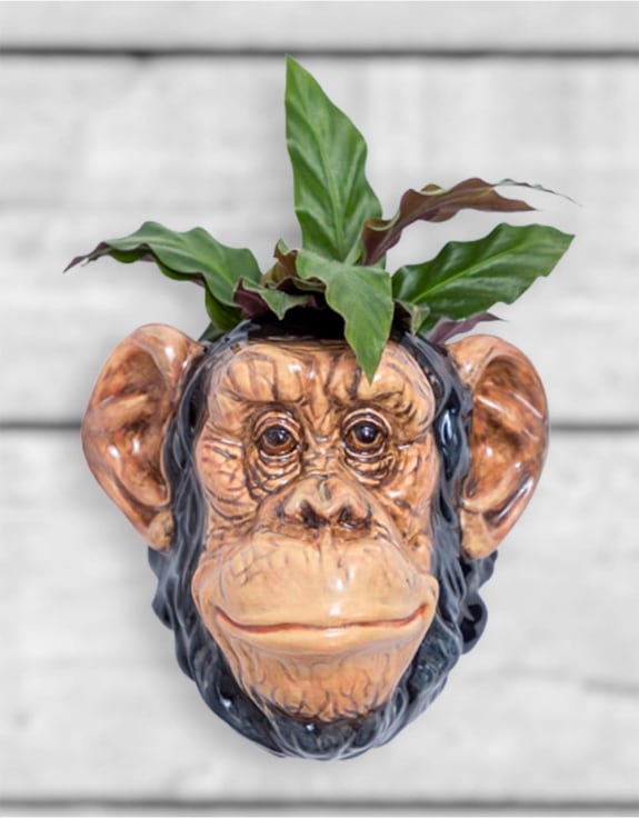 Hand Painted Ceramic Chimpanzee Head Wall Sconce Vase