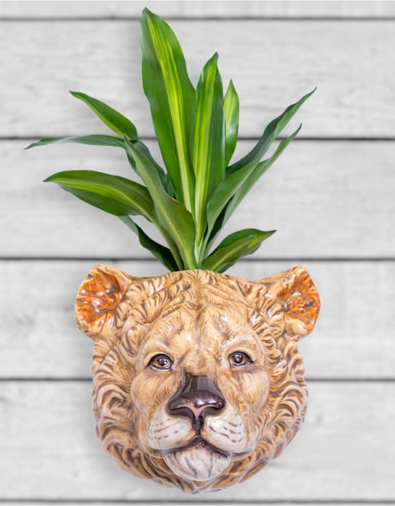 Hand Painted Ceramic Lioness Head Wall Sconce Vase