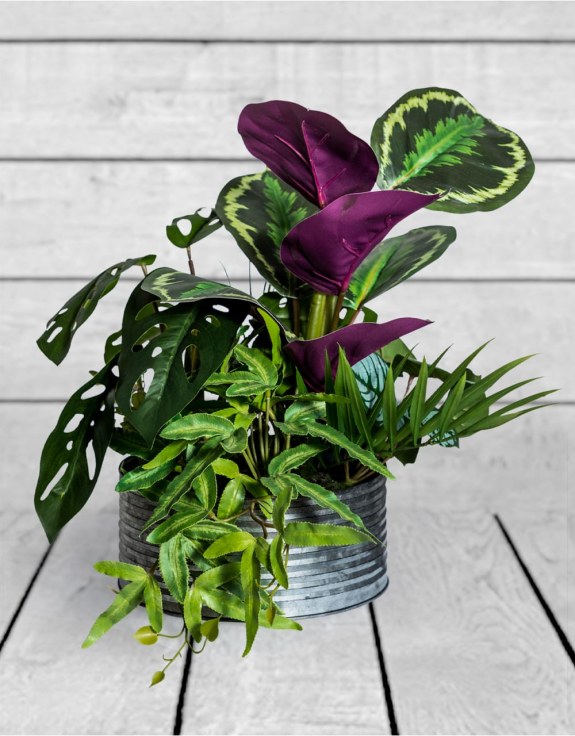 Ornamental Tropical Plant Arrangement in Tin Pot (to be bought in qtys of 4)