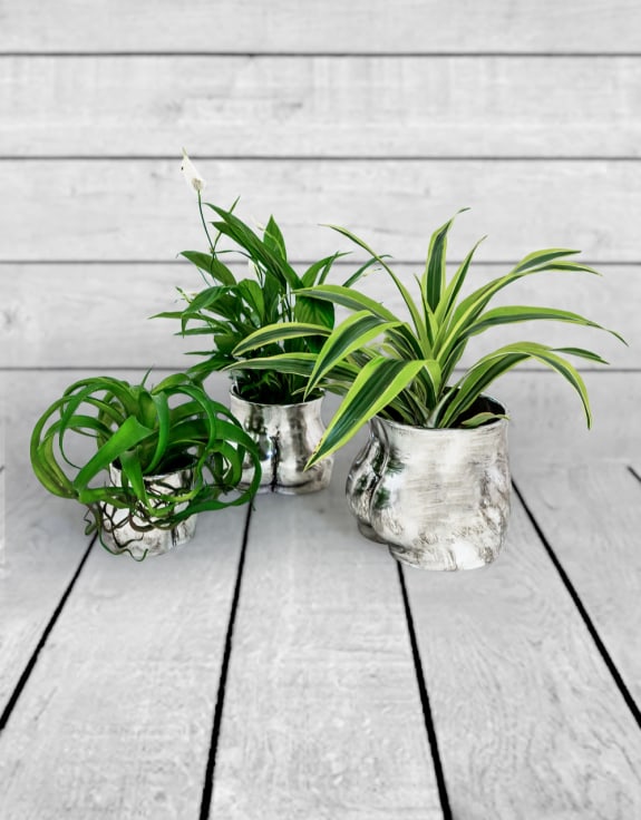 Antique Silver Medium Booty Flower Pot/Storage Jar