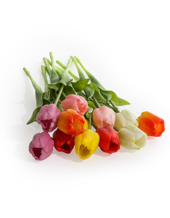 Assorted Mixed Colour Tulip Stems (to be bought in bunches of 24)