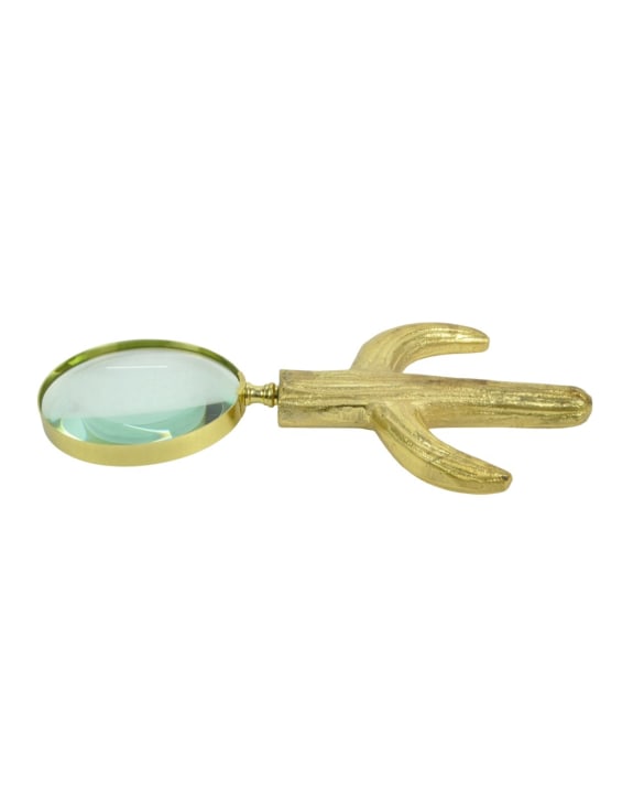 Large Cactus Magnifying Glass