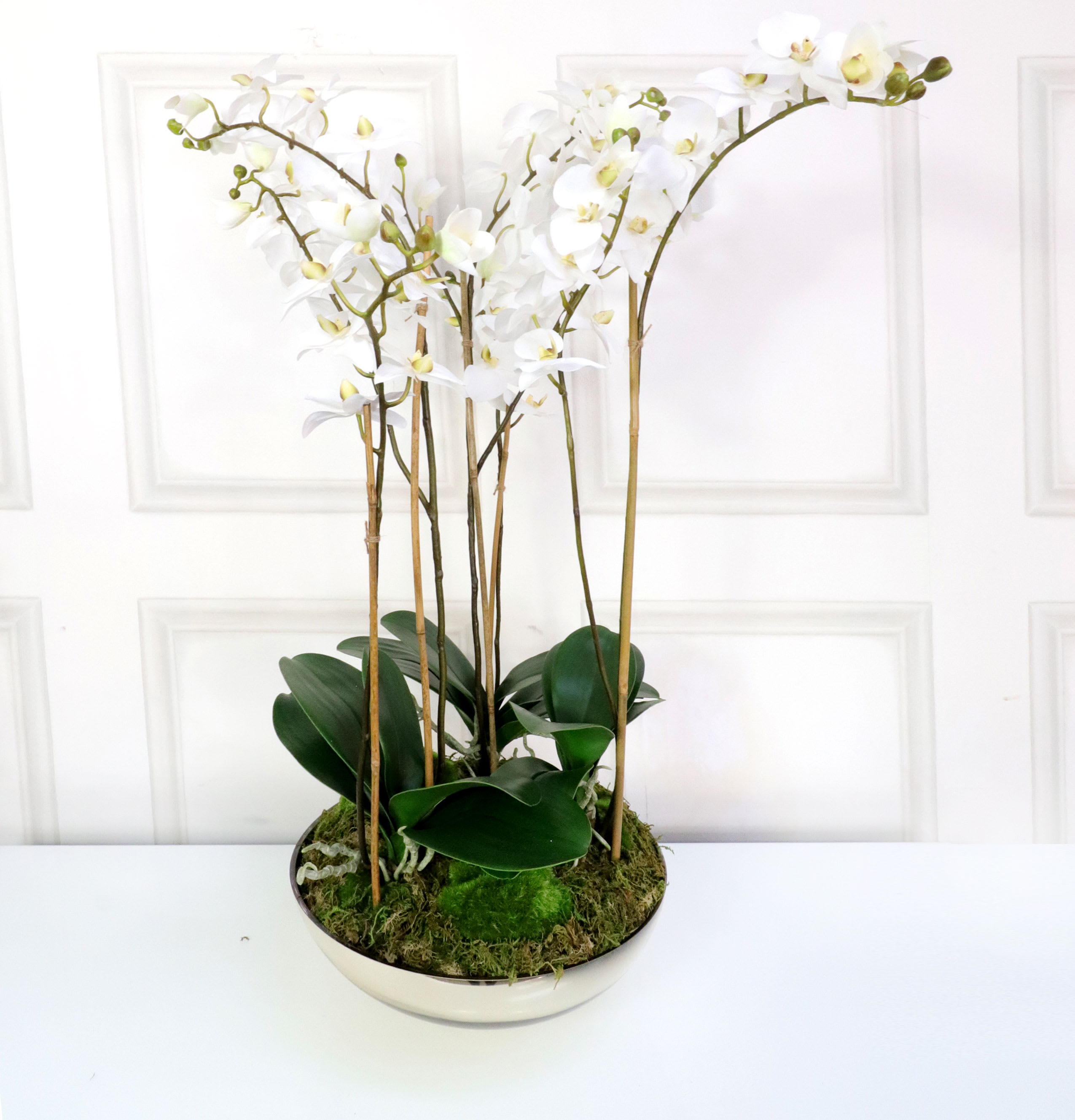 White Orchid Pretty Phalaenopsis Plants in Shallow Gold Glass Bowl