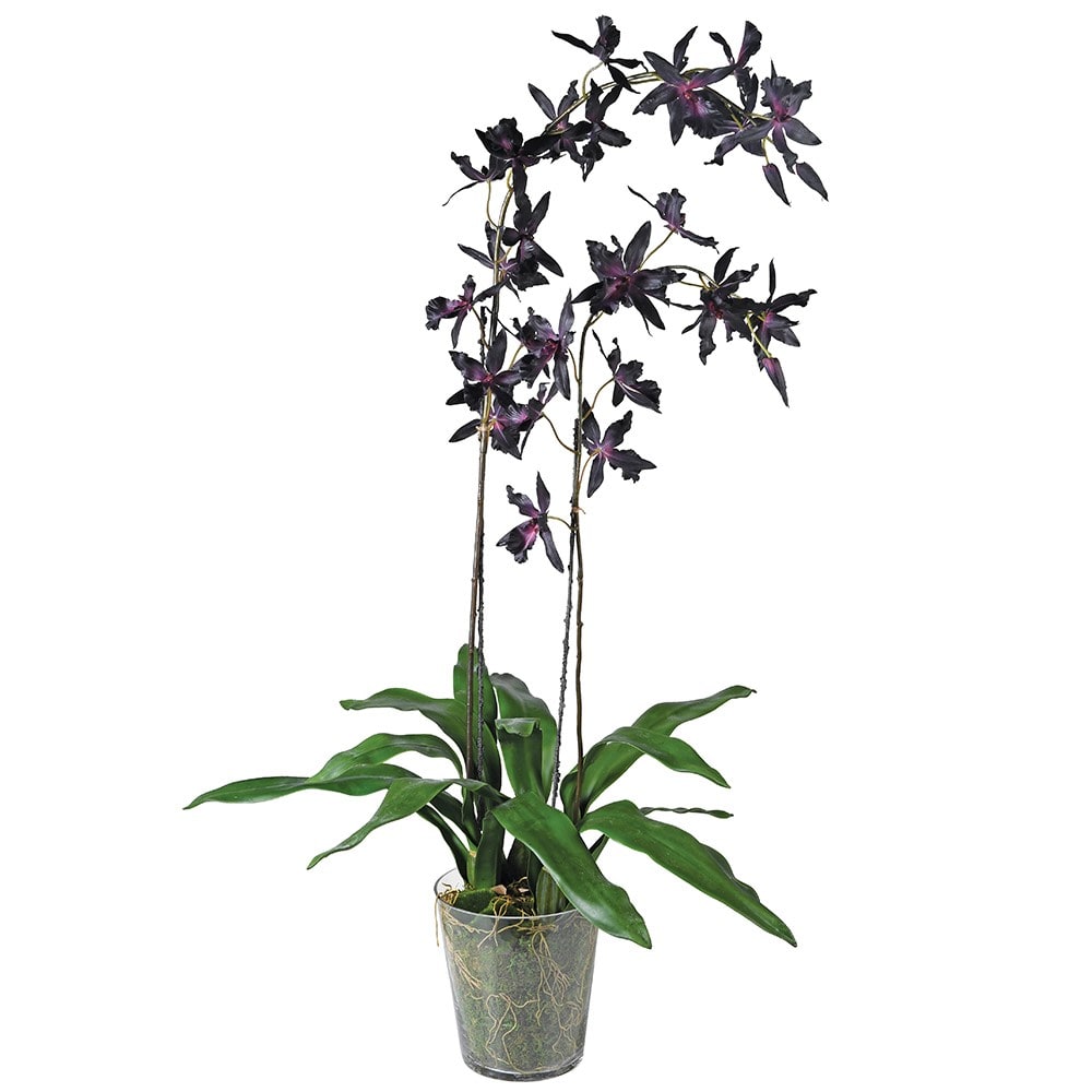 Faux Burgundy Oncidium in Glass Pot