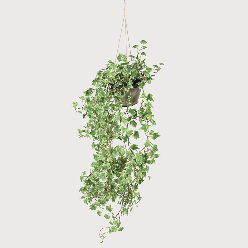 Faux Hanging Ivy Plant