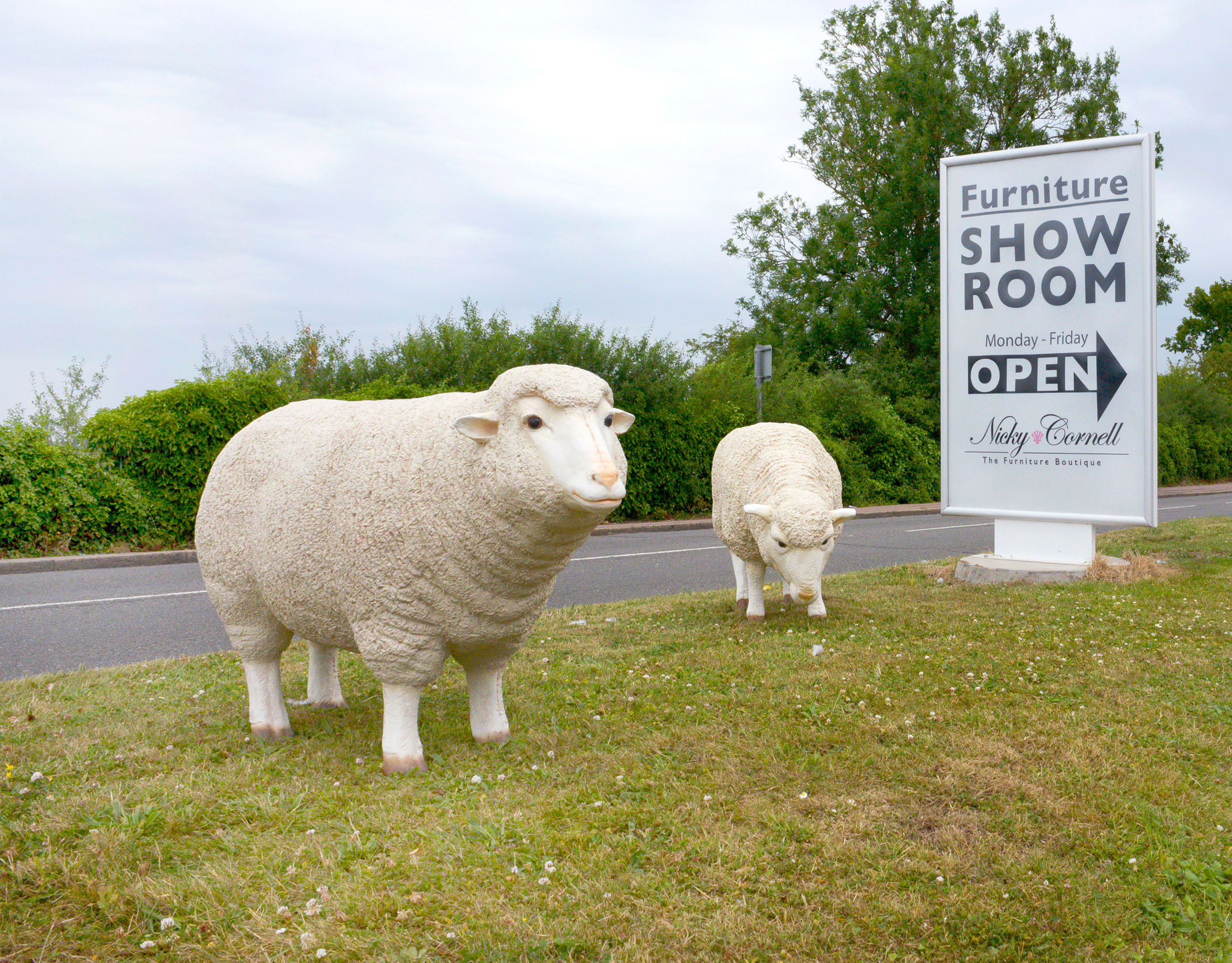 Grazing Life Size Sheep