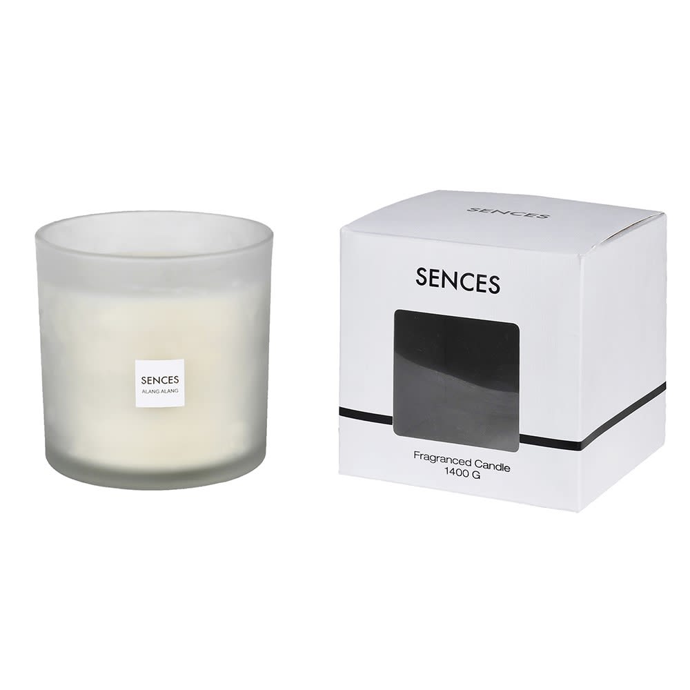 Sences Alang Alang White 3 Wick Candle