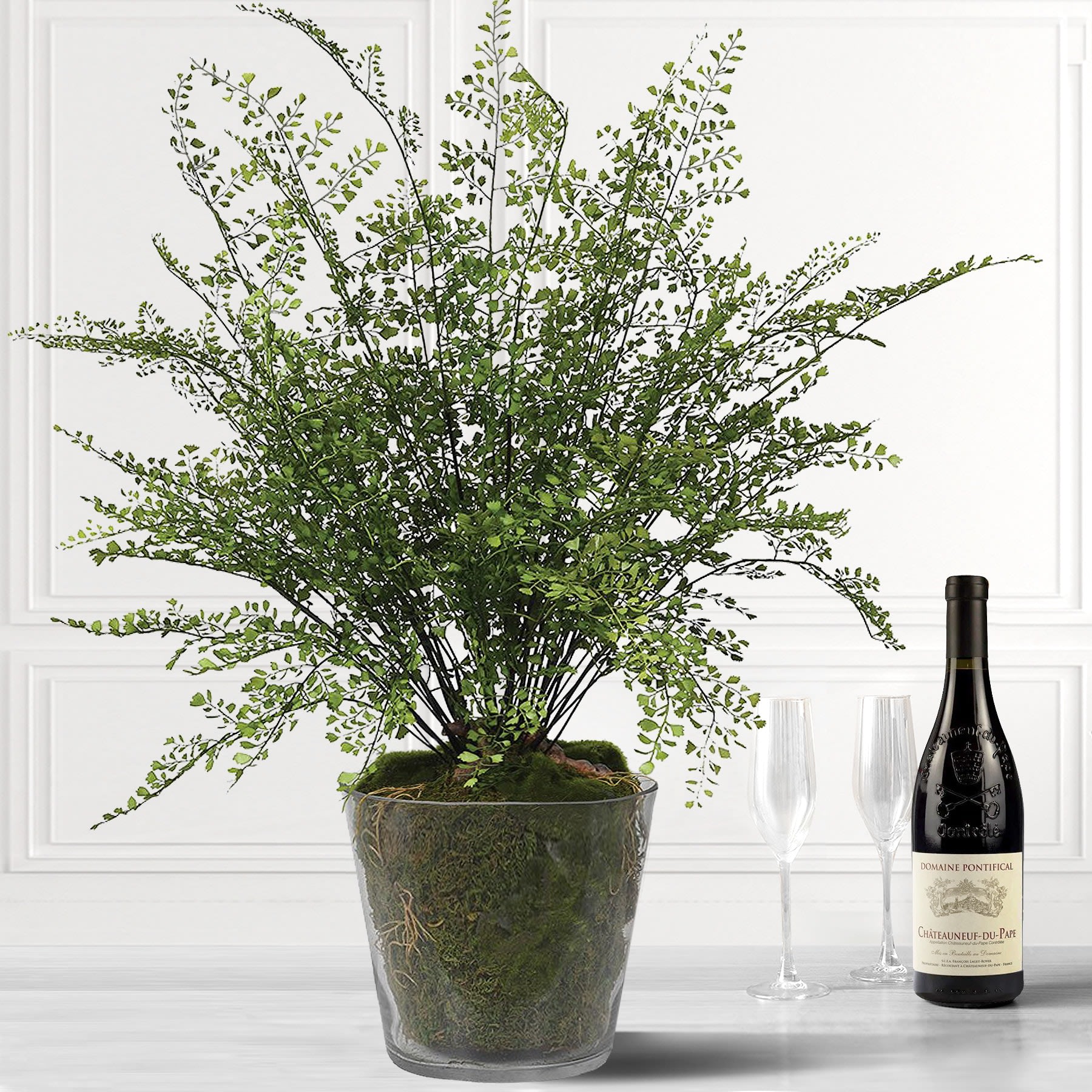 Large Fern Display in Glass Pot