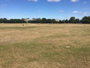 Clapham Common Lax session