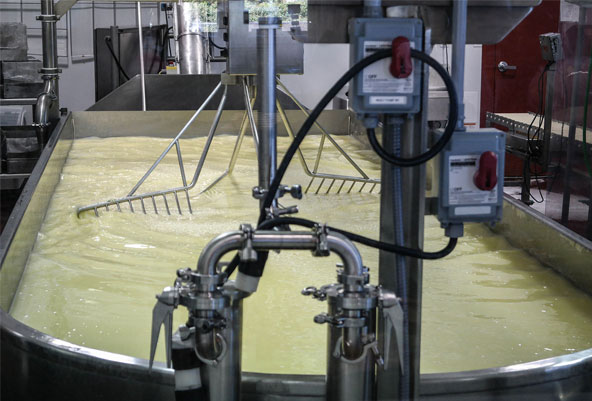 dairy-cheese-whrs-enervex