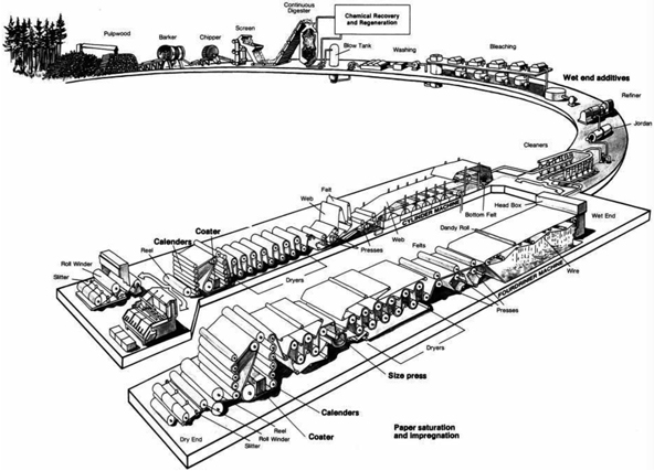paper production