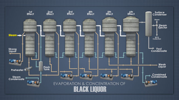 chemical-pulping-process
