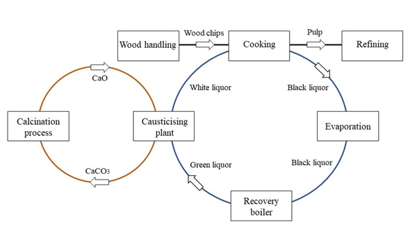 kraft-pulping-cycle